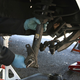 Image for article titled And You Will Know Us by the Trail of Parts: Replace Struts - Part 1